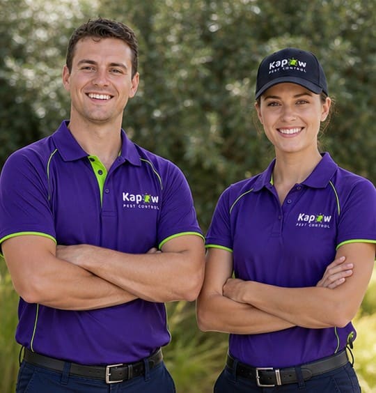 The Kapow Pest Control team